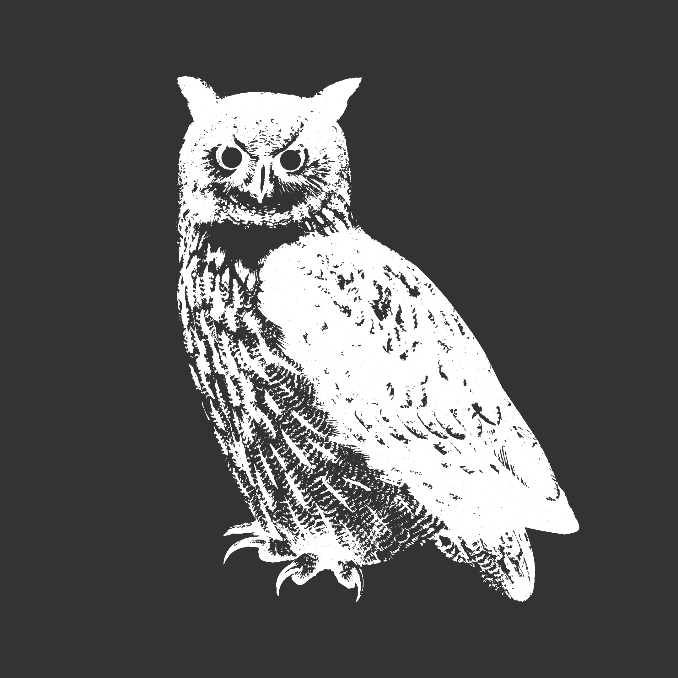 El Búho 