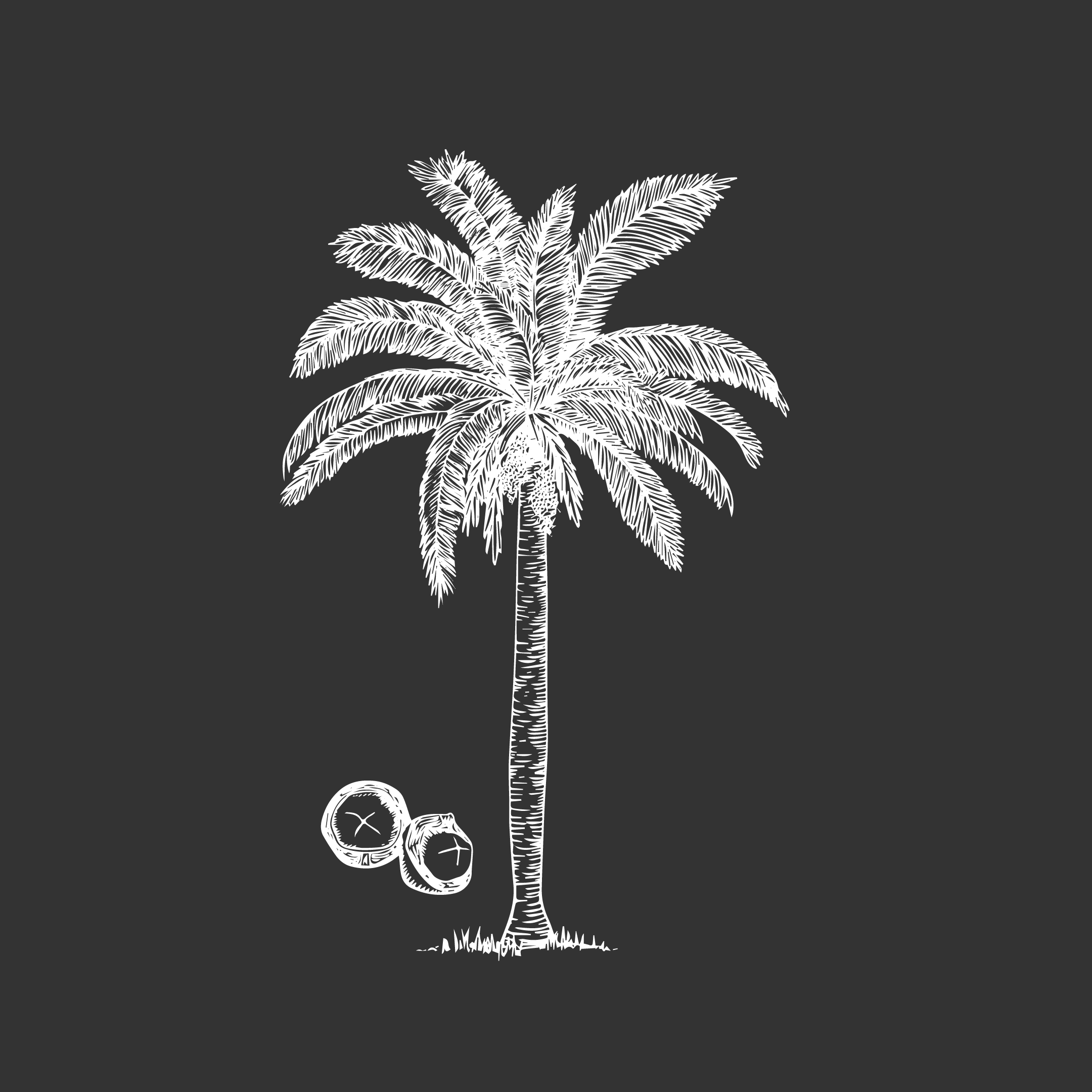 Corozo 